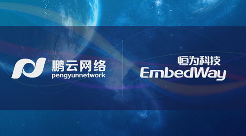 先行一步 鵬云網絡攜手恒為科技開展國產自主可控SDS前瞻性研究