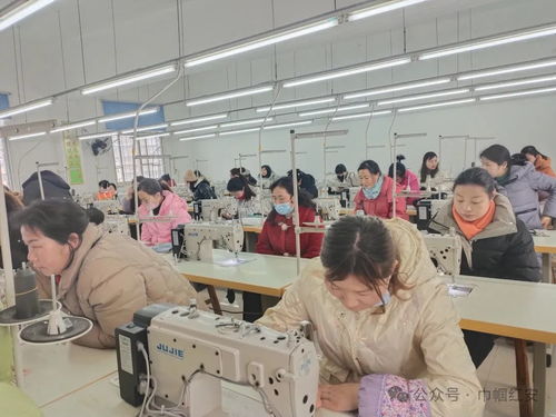 巾幗聯動送技能，多措并舉促就業——信息技術咨詢服務助力婦女零距離發展